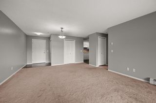 Photo 5: 8214 304 Mackenzie Way SW: Airdrie Apartment for sale : MLS®# A1229593