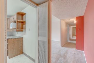 Photo 15: 1201 330 26 Avenue SW in Calgary: Mission Apartment for sale : MLS®# A1250434